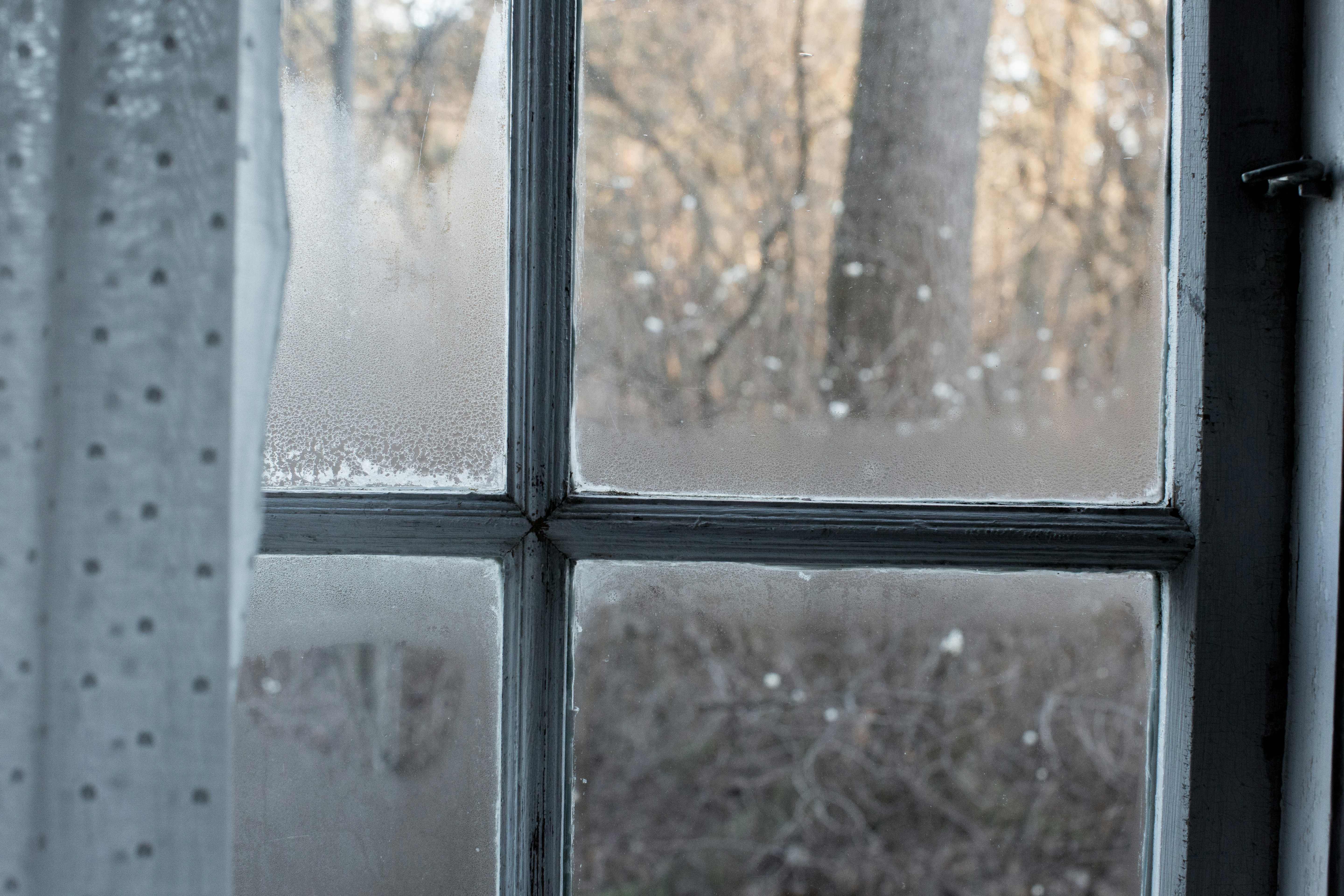 Window with condensation