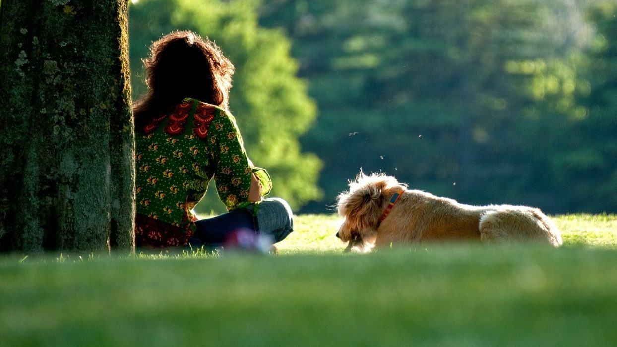 Person sat with a dog in a park
