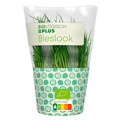 Bieslook