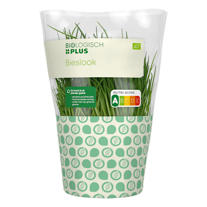 Biologisch PLUS Bieslook