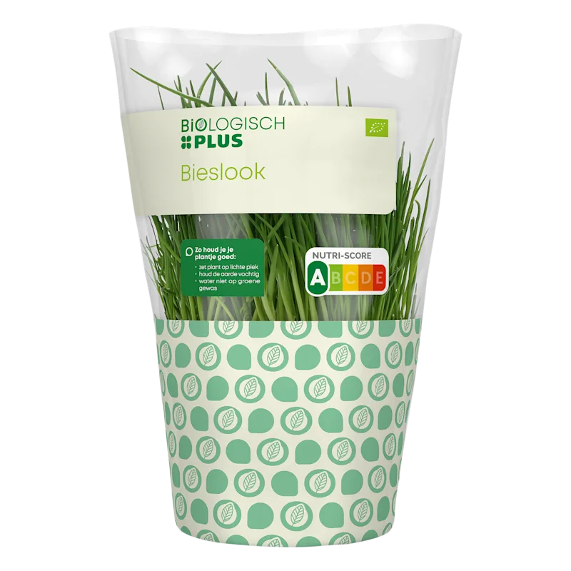 Biologisch PLUS Bieslook
