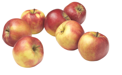 Handappels Elstar