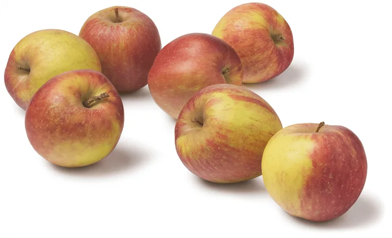 PLUS Appels Goudreinet