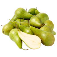 PLUS Conference Peren los