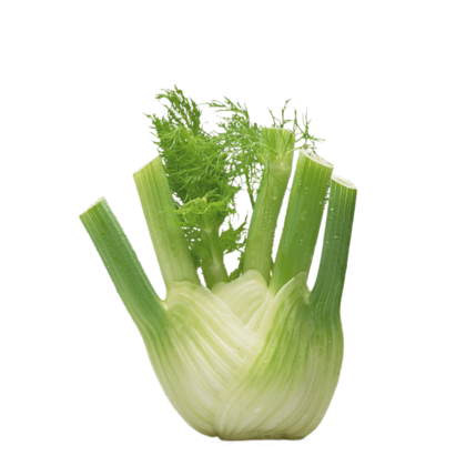 PLUS Venkel