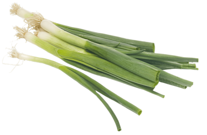 Bosuien - PLUS