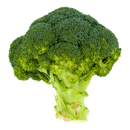 Broccoli