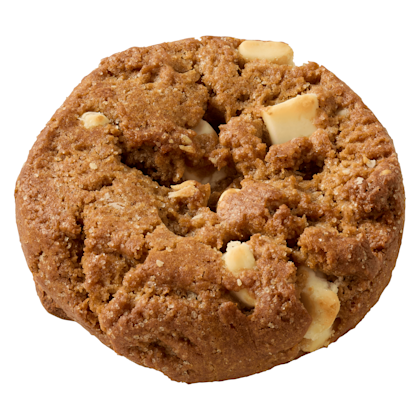 PLUS Pumpkin Spice cookie