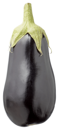 Aubergine biologisch