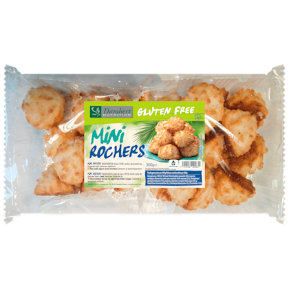 Glutenvrije Mini Kokosrotsen