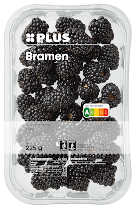 Bramen - PLUS