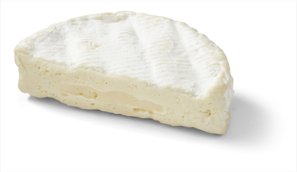 Camembert