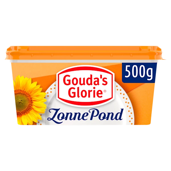 Gouda's Glorie Zonnepond