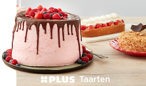 Taarten - PLUS