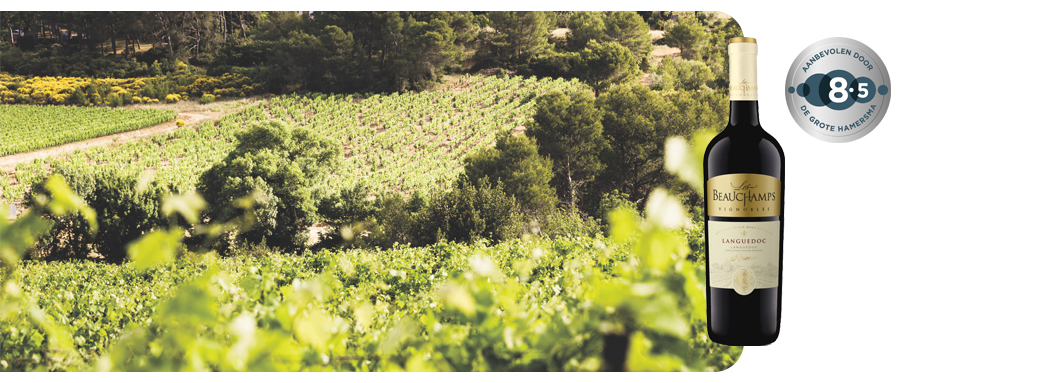 Les Beauchamps Languedoc Rouge