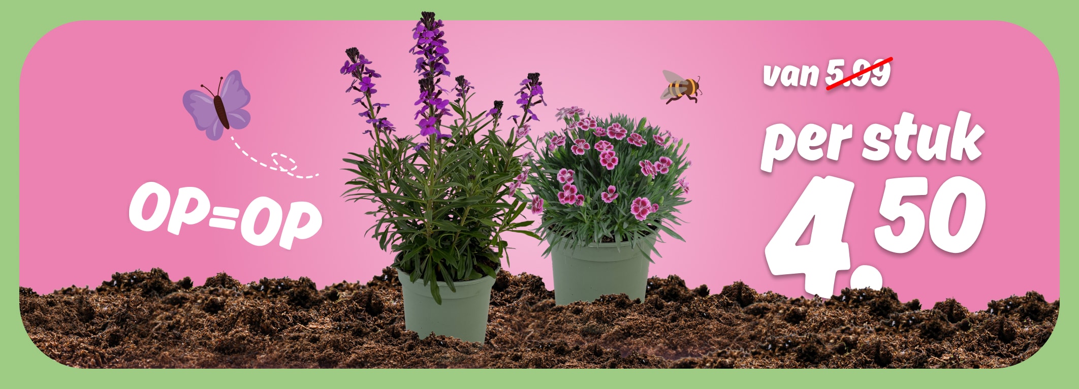 PLUS Vaste planten