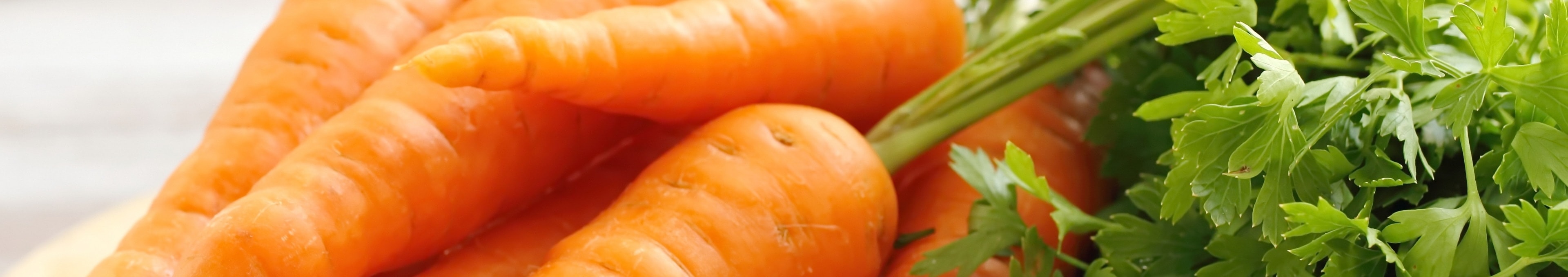 Wortel recepten topbanner