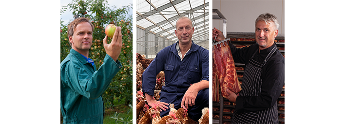 GIJS kaas, ei en zuivel boeren 