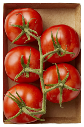 Trostomaten