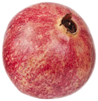 Neutraal Granaatappel