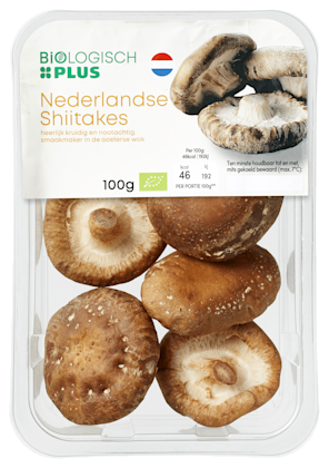 Shiitake biologisch