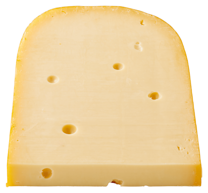 Goudse Jong 48+ 1kg - PLUS