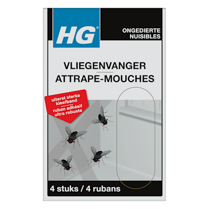 Vliegenvanger