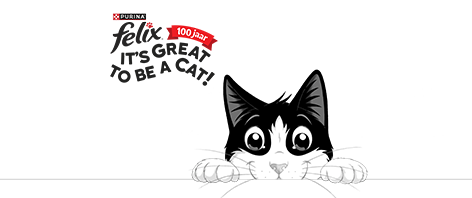 Felix kattenvoer