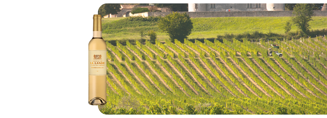 Château De La Lande Monbazillac