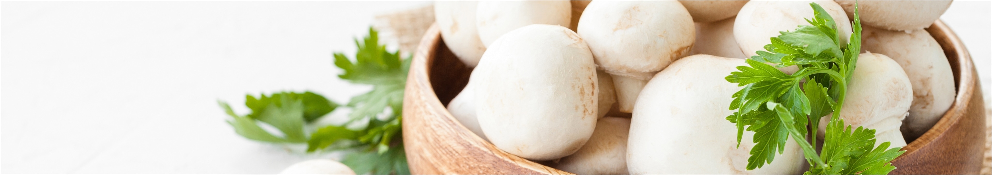 Champignon recepten topbanner