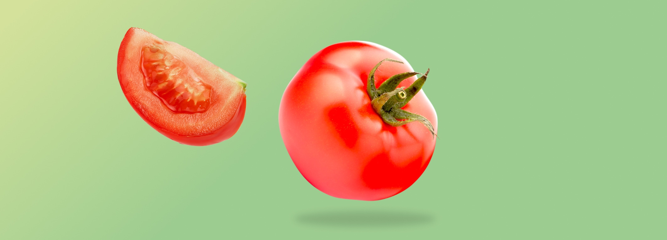 Tomaten tijdens het tomatenseizoen