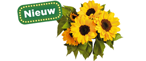 Bloemen en planten nu te bestellen bij PLUS
