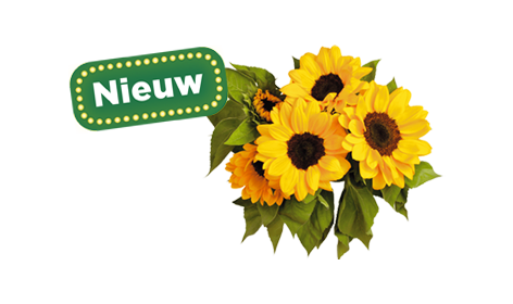 Bloemen en planten nu te bestellen bij PLUS