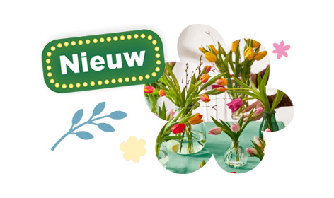 Bloemen en planten nu te bestellen bij PLUS