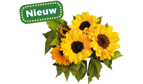 Bloemen en planten nu te bestellen bij PLUS
