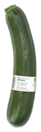 Courgette groen