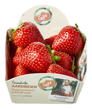 Aardbeien