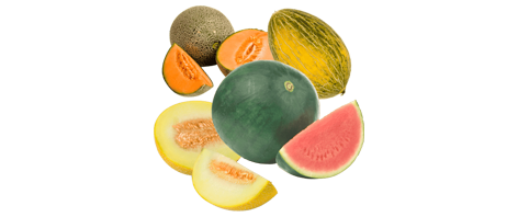 Fruitsoorten in de aanbieding