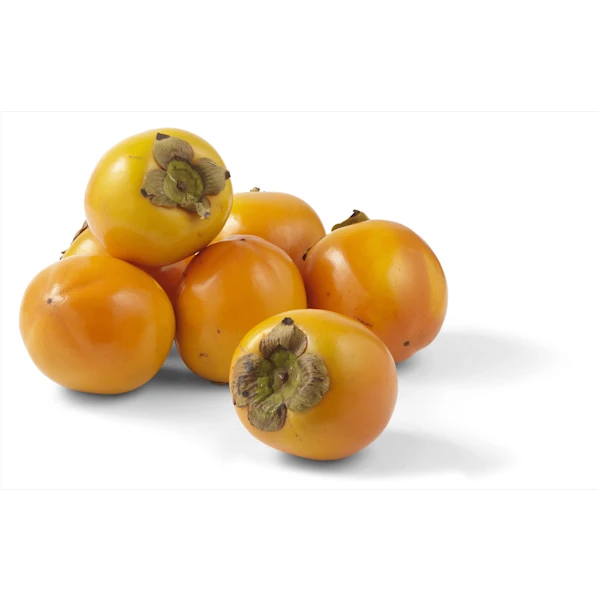 PLUS Kaki
