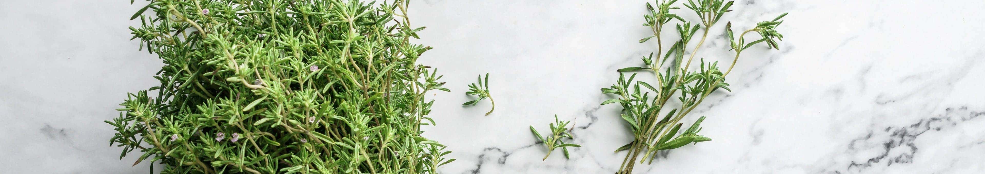 Tijm recepten topbanner