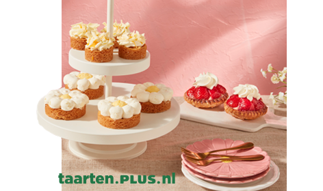Taarten - PLUS