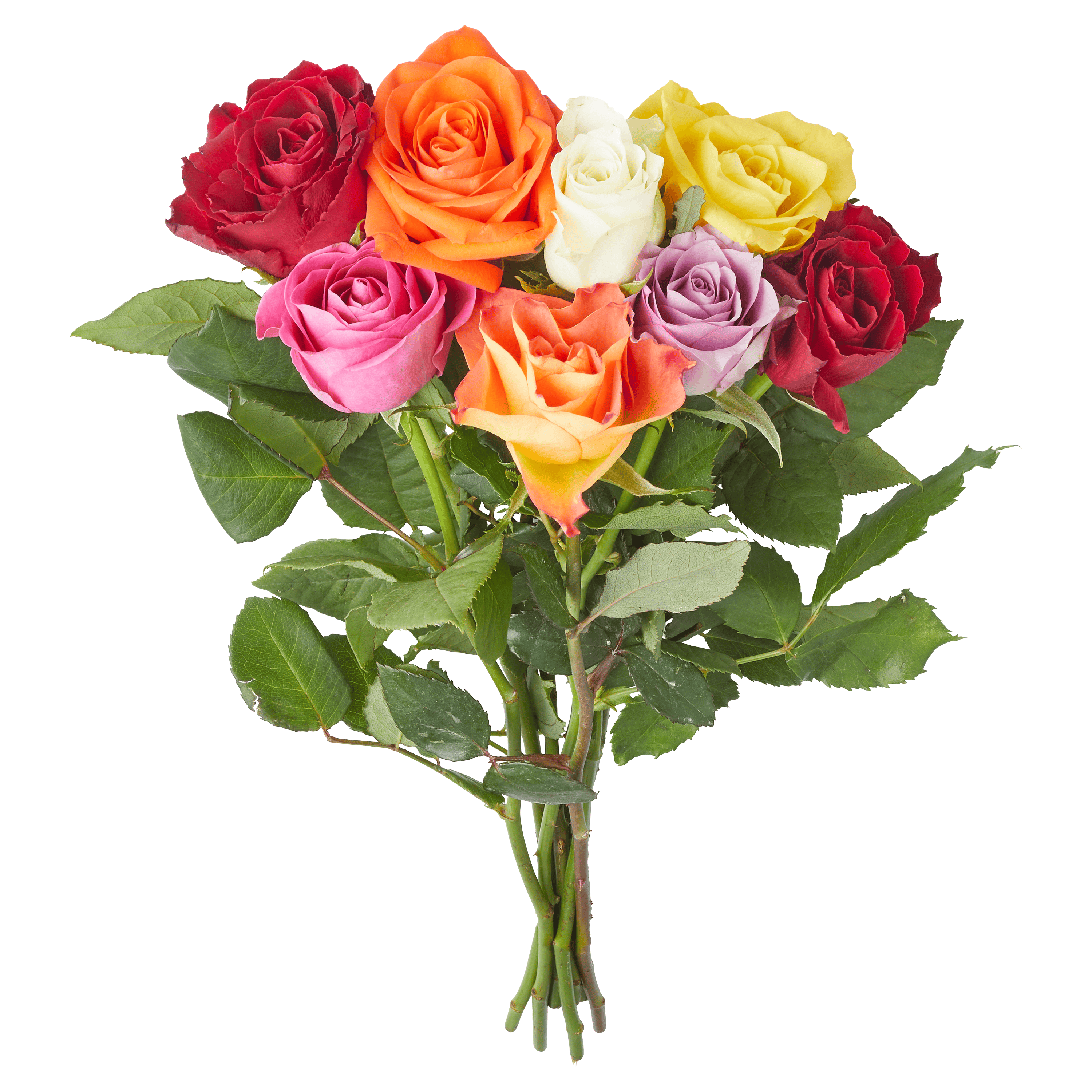 PLUS Pick & Mix Bloemen en planten