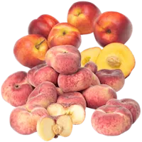 Nectarines, perziken en wilde perziken