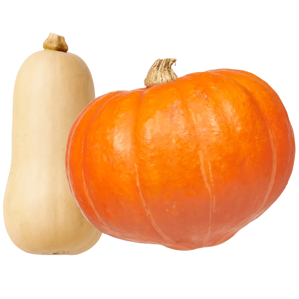 PLUS Pompoenen