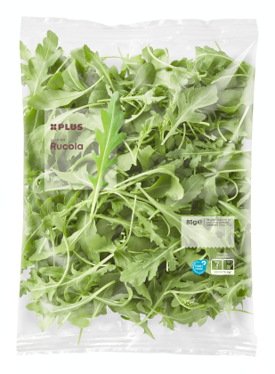 Rucola