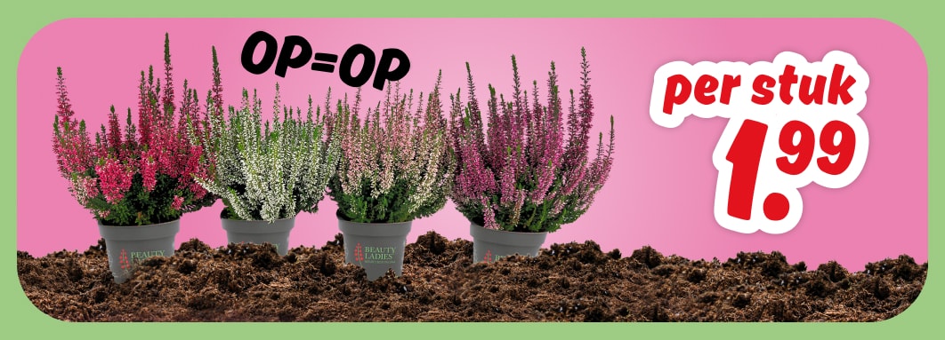 Diverse potten PLUS Heide, 1.99 per stuk.