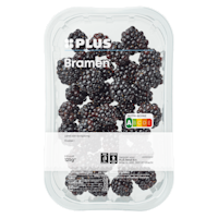 PLUS Bramen