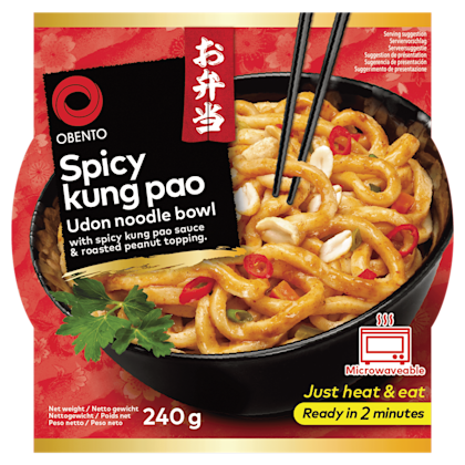Spicy kung pao udon noodle - PLUS