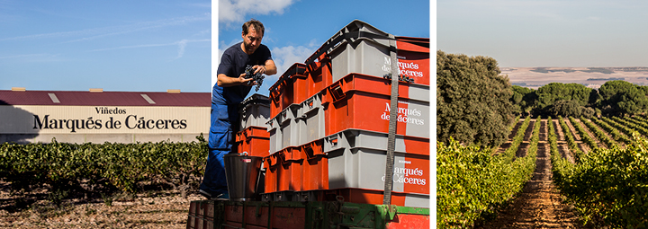 Het wijnhuis Marqués de Cáceres.