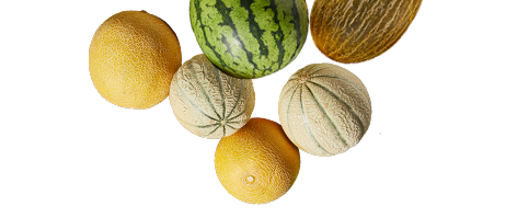 Verschillende fruitsoorten in de aanbieding van 22 t/m 28 juli